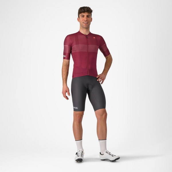 Herren Trofeo Giro d'Italia 2024 Trikot-Bordeaux Herren Trofeo Giro d'Italia 2024 Trikot-Bordeaux