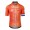 Herren Hollandisch Nationalen Agu trikot 2024