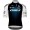 Herren Q36.5 Pro Cycling Team 2025 Gregarius Pro trikot