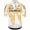Herren Q36.5 Pro Team Off-Road 2025 Gregarius trikot