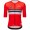 Herren Santini UCI Weltmeister 2025 trikot-Schweiz
