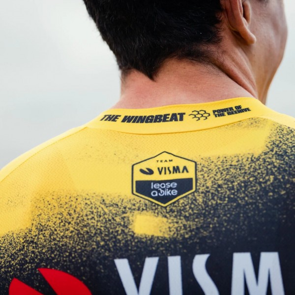 Herren Team Visma Lease a bike 2025 The Wingbeat trikot
