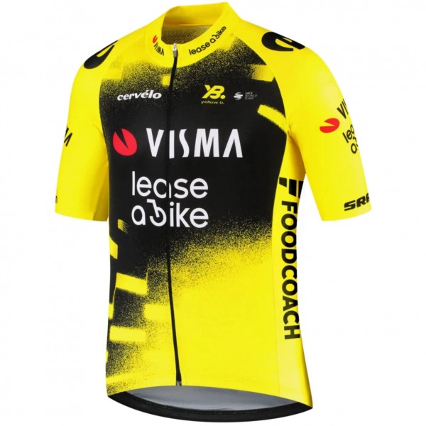 Herren Team Visma Lease a bike 2025 The Wingbeat trikot