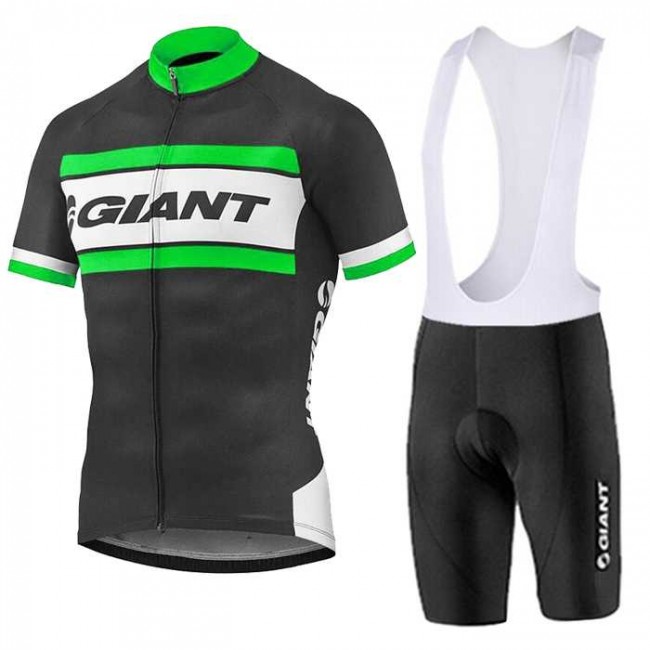 2016-2017 Giant Fahrradbekleidung Radteamtrikot Kurzarm+Kurz Radhose Kaufen grün IZUFX 2016-2017 Giant Fahrradbekleidung Radteamtrikot Kurzarm+Kurz Radhose Kaufen grün IZUFX